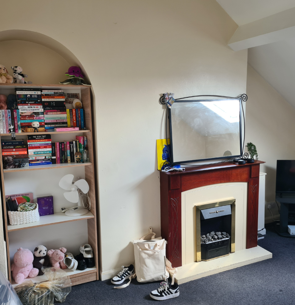 A decorated flat, it includes a fire place, shelves filled with books, miniatures and boardgames, there is a tv to the side and a sofa facing it